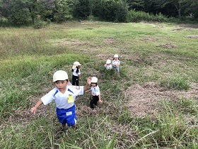 裏山遊び