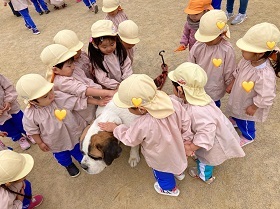 IMG_20581.jpg