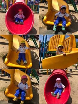 IMG 1608 480x640