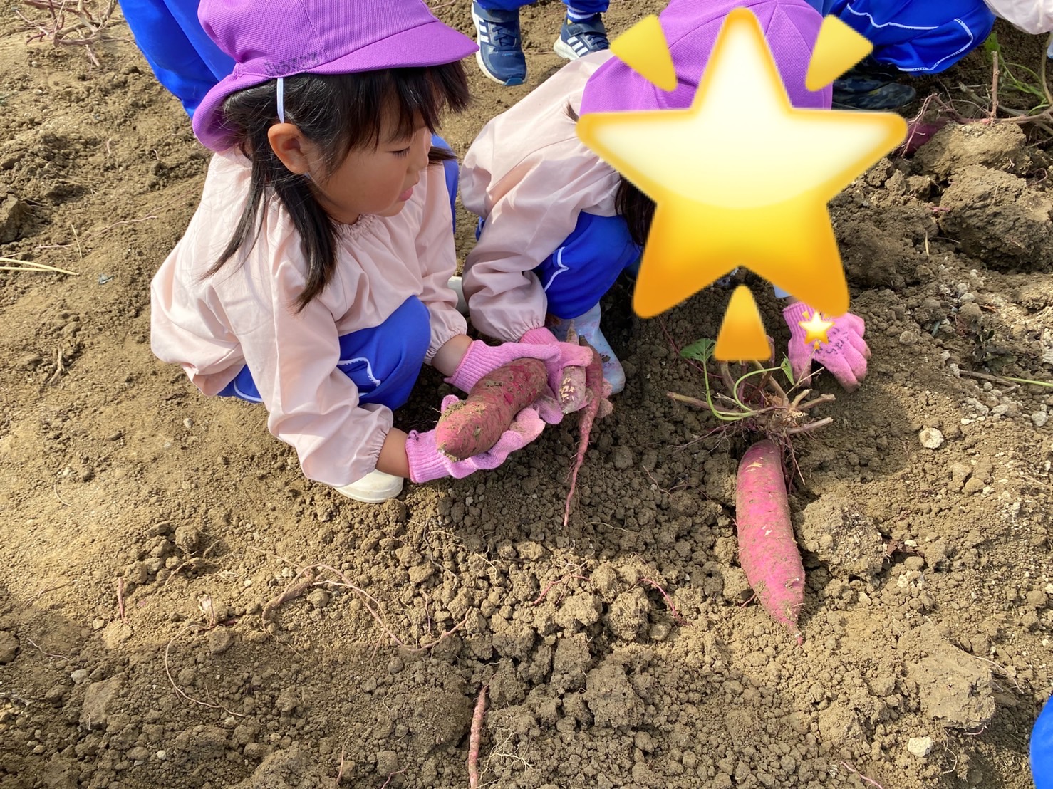 いももも 1