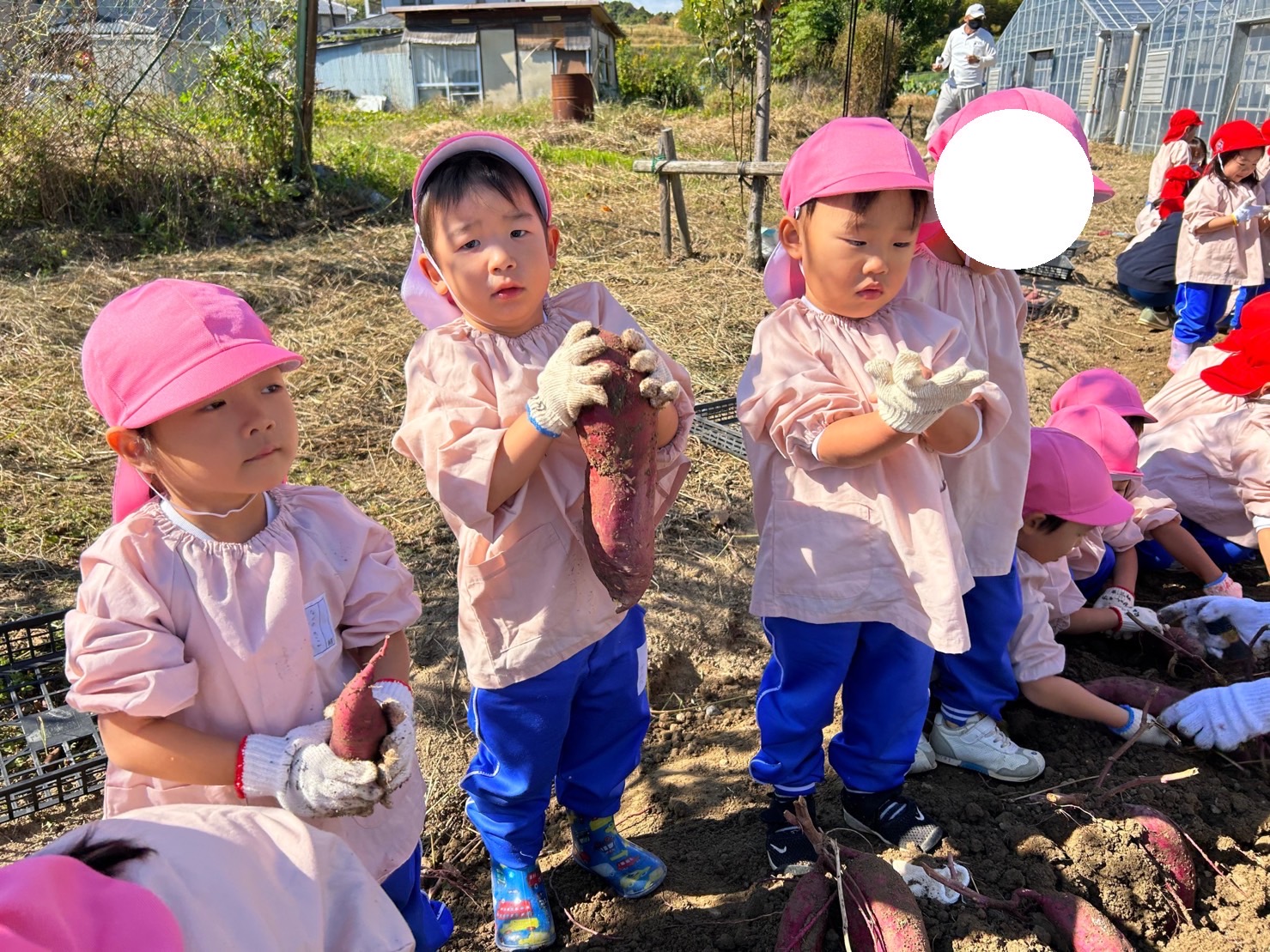 いももも