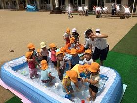 IMG_78191.jpg