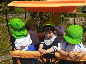 裏山散歩⑤