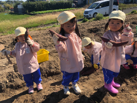 JAお芋掘り