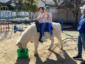 移動動物園