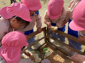移動動物園
