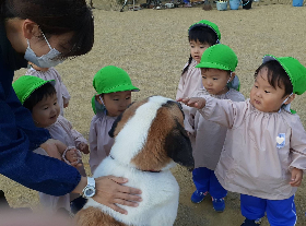 移動動物園
