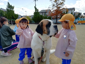 移動動物園