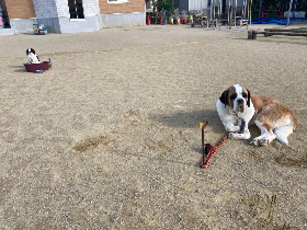 移動動物園