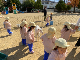 移動動物園