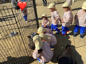 移動動物園