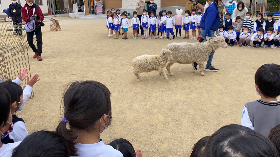移動動物園