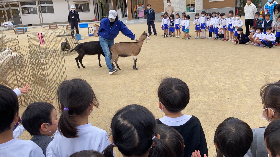 移動動物園