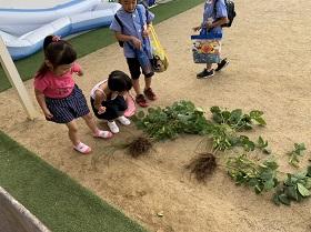 枝豆