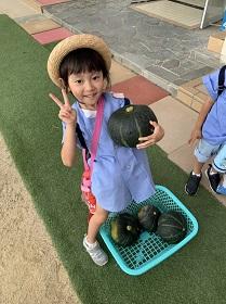 かぼちゃ