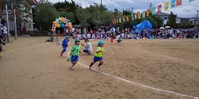 IMG 2838