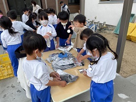 イモ巻き 編集