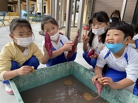 芋洗い ゆり 編集