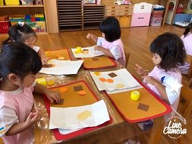 IMG 8585