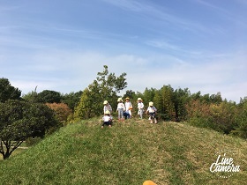 IMG_88951.jpg