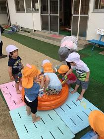 IMG 78091