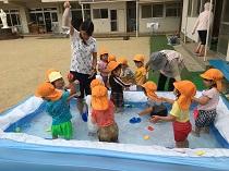 IMG 78171