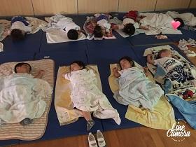 IMG_81181_昼寝1.jpg