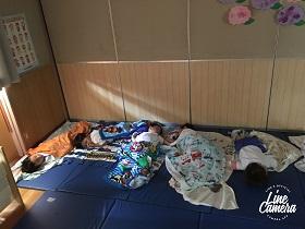 IMG_81191_昼寝2.jpg
