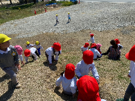IMG 7556