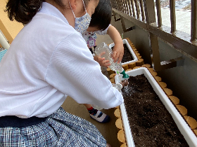種まき２