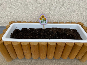 種まき５