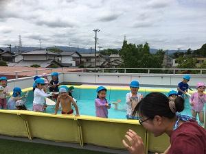プール