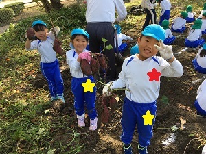 お芋掘り