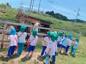 餌やり