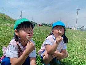 原っぱ遊び