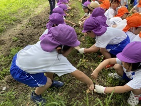 IMG 0391