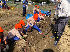 いも５