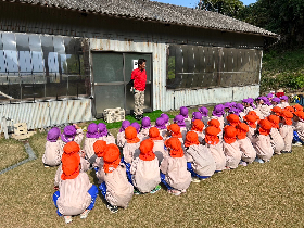 みかん２