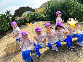 みかん６