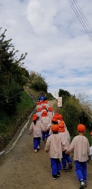 ミカン狩り⑬