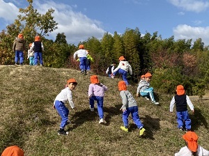 裏山11月6