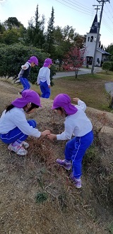 裏山11月8
