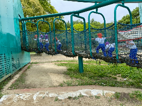 橋